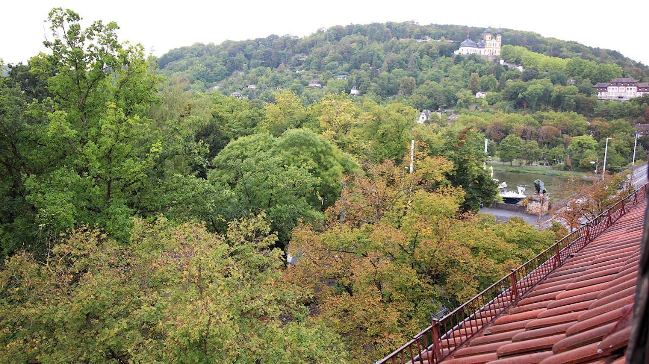 Zentrale Stadtwohnung - Direkt Am Main, Park-Ausblick Würzburg Buitenkant foto